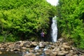 Beautiful view of a waterfall located along famous Road to Hana on Maui island, Hawaii Royalty Free Stock Photo