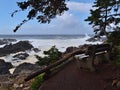 Beautiful view of the wild coast with waves breaking on the rocks at Wild Pacific Trail in Ucluelet on Vancouver Island, Canada. Royalty Free Stock Photo