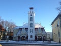 Beautiful view - winter in Estonia on Saarem, juniper and snow