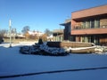 Beautiful view - winter in Estonia on Saarem, juniper and snow