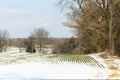 Beautiful view of a winter landscape surrounded by dry trees covered in snow, Pennsylvania Royalty Free Stock Photo