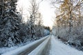 Beautiful view of winter scape. Country road in snow forest. Beautiful nature winter background Royalty Free Stock Photo