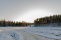 Beautiful view of winter scape. Country road in snow forest. Royalty Free Stock Photo