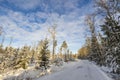 Beautiful view of winter scape. Country road in snow forest. Beautiful nature winter background. Royalty Free Stock Photo