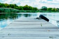 Wooden rustic old pier with black tire near green reeds on river Royalty Free Stock Photo