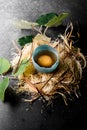 Beautiful view on yolk of egg in blue shell on wood fiber with green leaves