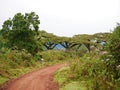 Beautiful views of AfricÃÂ°, trees Avatar, jeeps with an opening top