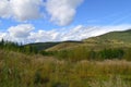 Beautiful views of autumn in Transbaikalia. Russia.