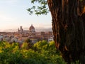 Beautiful views of Florence cityscape in the background Cathedral Santa Maria del Fiore at sunset Royalty Free Stock Photo