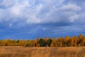 Beautiful Views of Golden autumn meadow. Royalty Free Stock Photo