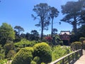 The beautiful views in Golden Gate Park, including the Japanese Tea Garden, in San Francisco, California, USA. Royalty Free Stock Photo