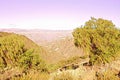 Beautiful views in the mountains of Central Bolivia at an altitude of 4000 meters Royalty Free Stock Photo