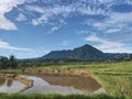 Beautiful views of mountains and rice fields in the morning with very clean skies