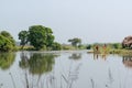 Beautiful views of nature on the banks of a river in West Bengal where some village boys are playing