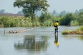 Beautiful views of nature on the banks of a river in West Bengal where some village boys are playing