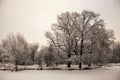 Beautiful views of Russian winter forest on the shores of Lake in the snow at sunset frosty days. Trees covered in frost and snow Royalty Free Stock Photo