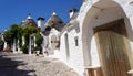 Beautiful village of Alberobello with trulli houses among green plants and flowers, main touristic district, Apulia region, Southe
