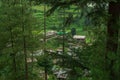 A Beautiful Village Surrounded by Deodar Tree in Himalayas, Sainj Valley, Himachal Pradesh, India Royalty Free Stock Photo