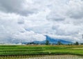 Beautiful village view in daylight. Mountain Marapi In Sumatra, Indonesia Royalty Free Stock Photo