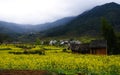 Beautiful village of Wuyuan Royalty Free Stock Photo