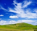 Beautiful vineyard landscape with cloudy blue sky Royalty Free Stock Photo