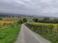 Beautiful vineyard path in Germany, Bavaria