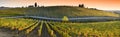 Beautiful vineyards in the Chianti Classico region are colored under the light of the sunset during the autumn season. Greve in Royalty Free Stock Photo