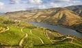 Beautiful Vineyards in Douro Valley