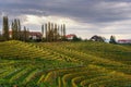 Beautiful vineyards landscape of Jeruzalem on Slovene Hills. Ljutomer. Northeastern Slovenia