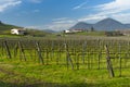 View of vineyards from Euganean hills, Veneto, Italy, at early s Royalty Free Stock Photo