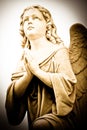 Beautiful vintage angel Royalty Free Stock Photo