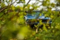 Beautiful vintage blue Ford Mustang sports car through branches in a park