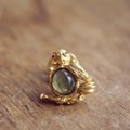 Beautiful vintage brooche Royalty Free Stock Photo