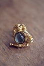 Beautiful vintage brooche Royalty Free Stock Photo