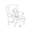 Beautiful vintage chair, cute dog and a ball.