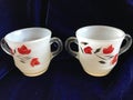 Beautiful Vintage Clear Crystal Glass Sugar Bowl and Creamer with Red and Gold Cold Paint and White Painted Inside