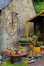 Beautiful vintage display with flowers and aged bike