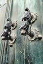 Vintage door knocker dog shaped on wooden door Royalty Free Stock Photo