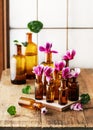 Beautiful vintage floristic arrangement with pink cyclamen flowers in the old brown pharmacy bottles.