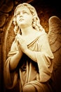 Beautiful vintage image of a praying angel