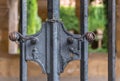 Beautiful vintage metal door handle gate