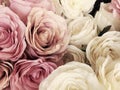Beautiful vintage Rose background. white, pink, purple, violet, cream color bouquet flower. Elegant style floral. Royalty Free Stock Photo