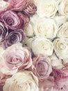 Beautiful vintage Rose background. white, pink, purple, violet, cream color bouquet flower. Elegant style floral.