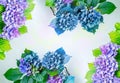 Beautiful, vintage style flora background with hydrangea