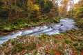 Beautiful Vintgar Gorge canyon and wooden plank in autumn colors, famous for  near Bled Royalty Free Stock Photo