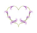 Beautiful Violet Anthurium Flowers in Heart Shape