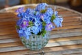 Beautiful violet and blue flowers in glass vase on bamboo table, blur nature background, nature, decor, object, copy space Royalty Free Stock Photo