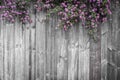 Whispers of Nature: Violet Flower on Wooden Background Royalty Free Stock Photo