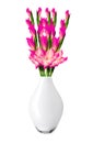 Beautiful violet gladiolus in vase isolated on white