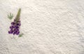 Beautiful violet lupine on white powder